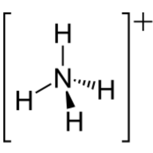 Tính chất hóa học của nh4 