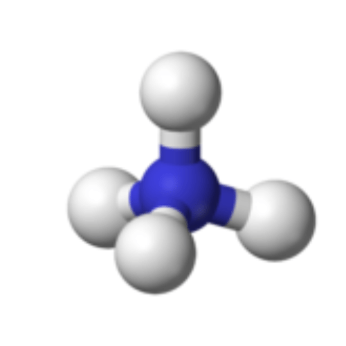 Amoni (NH₄⁺) là một ion dương