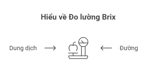 Lượng đường trong máy đo độ ngọt brix