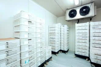 Automated Cold Storage Temperature Recording Solution for the Food Industry