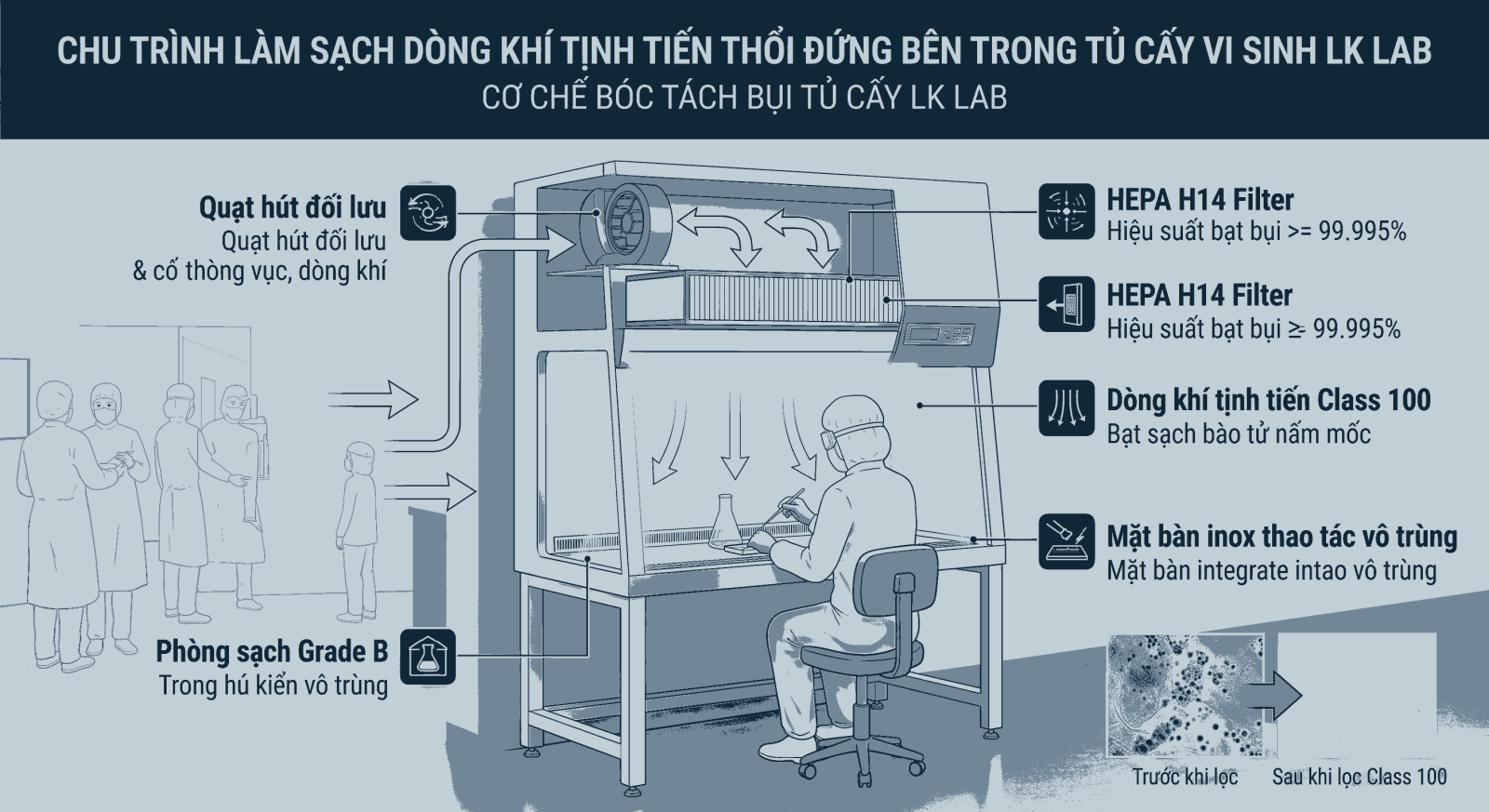 Chu trình làm sạch dòng khí tịnh tiến thổi đứng bên trong tủ cấy vi sinh LK Lab