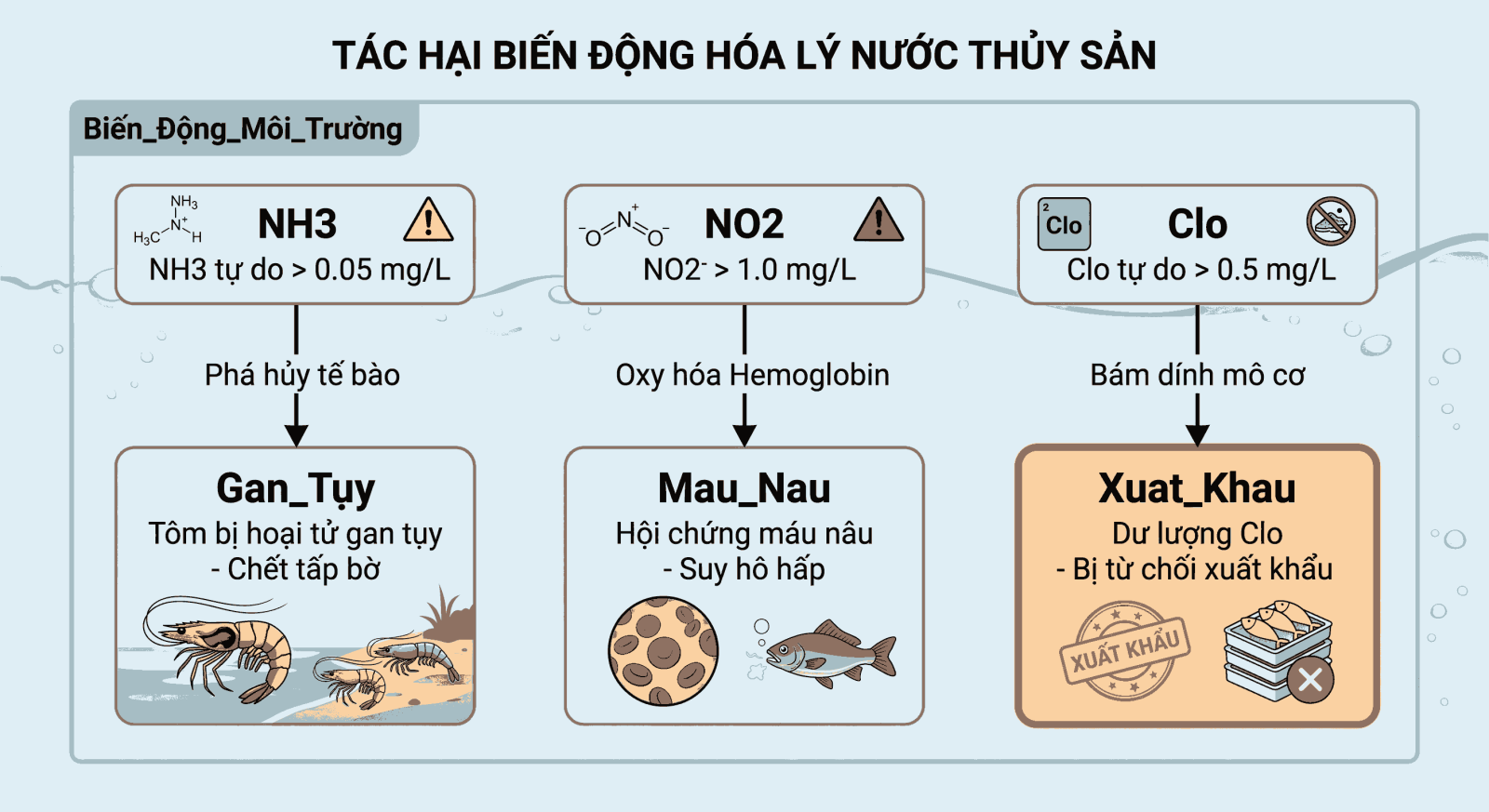 Chuỗi tác động nguy hại của biến động nồng độ độc tố NH3, NO2 và dư lượng Clo trong kiểm nghiệm nước thủy sản