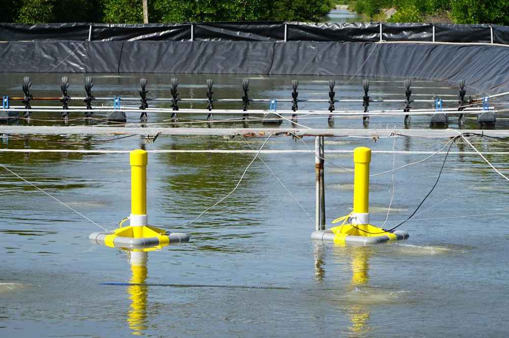 Tối Ưu Độ Chính Xác Trong Kiểm Nghiệm Nước Thủy Sản: Giải Pháp Từ Quang Kế Và Máy Đo Đa Chỉ Tiêu
