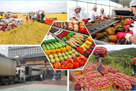 Giải pháp tủ chia mẫu hạt loại bỏ rủi ro trả hàng nông sản xuất khẩu