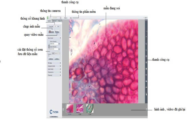 Phần mềm ImageFocus của kính hiển vi kĩ thuật số ImageFocus