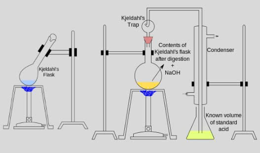 Phương pháp phân tích Nito Kjeldahl là cách làm phổ biến nhất hiện nay 