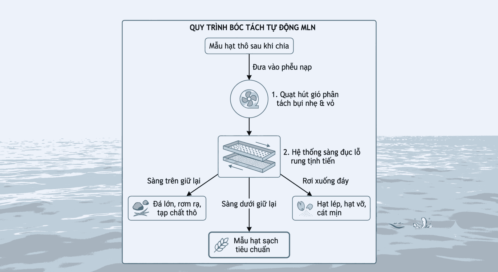 Quy trình bóc tách tạp chất thô và hạt lép 2 cấp tự động trên máy làm sạch hạt mẫu Pfeuffer MLN
