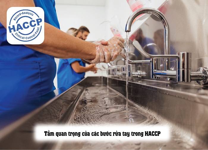 Rửa tay đúng cách trên bồn rửa tay công nghiệp giúp môi trường sản xuất đạt độ sạch và vô trùng hiệu quả 