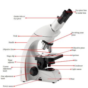 Basic Understanding of Microscopes