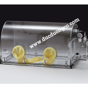 Standard Solution Cabinet with Dome-Shaped Roof DOM-II 06104 - AS ONE