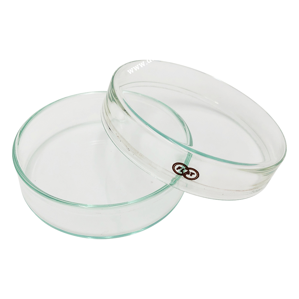 Đĩa Petri thủy tinh FS-70 φ75 x 21mm