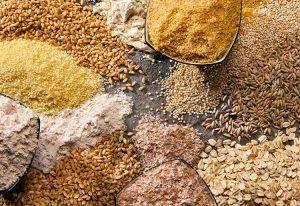 How to Optimize Time and Costs in Animal Feed Testing
