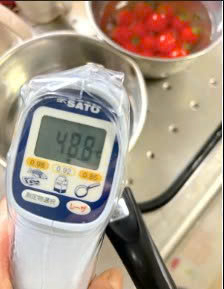 Do Infrared Thermometers Meet HACCP Requirements in CCP Control?