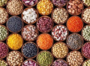How to Control Repeatability (RSD) in Fiber Analysis?