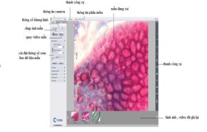 ImageFocus software for the ImageFocus digital microscope