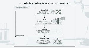Quy trình duy trì vùng làm việc sạch Cấp A triệt tiêu nguy cơ ô nhiễm chéo vi sinh khi thao tác mẫu