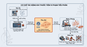 Sơ đồ chuỗi tác động tiêu cực đến giấy phép GMP và tài chính khi thuốc tiêm bị thu hồi do vi phạm chỉ tiêu tiểu phân